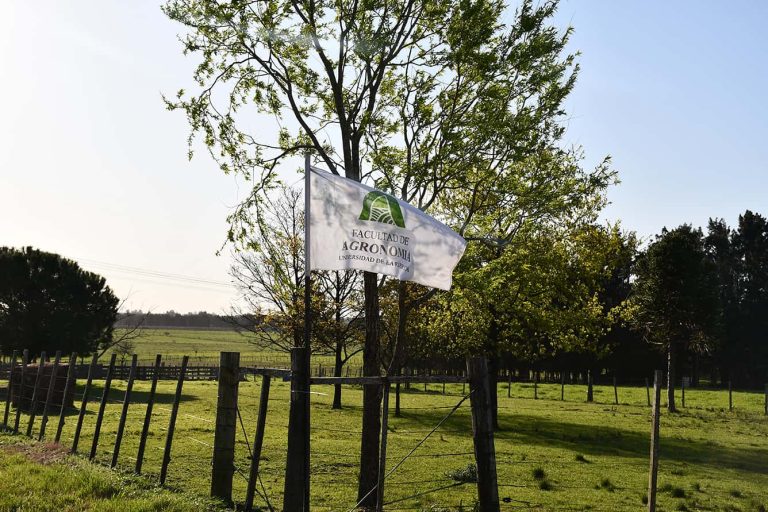 Bandera de Fagro ondeando en el CRS