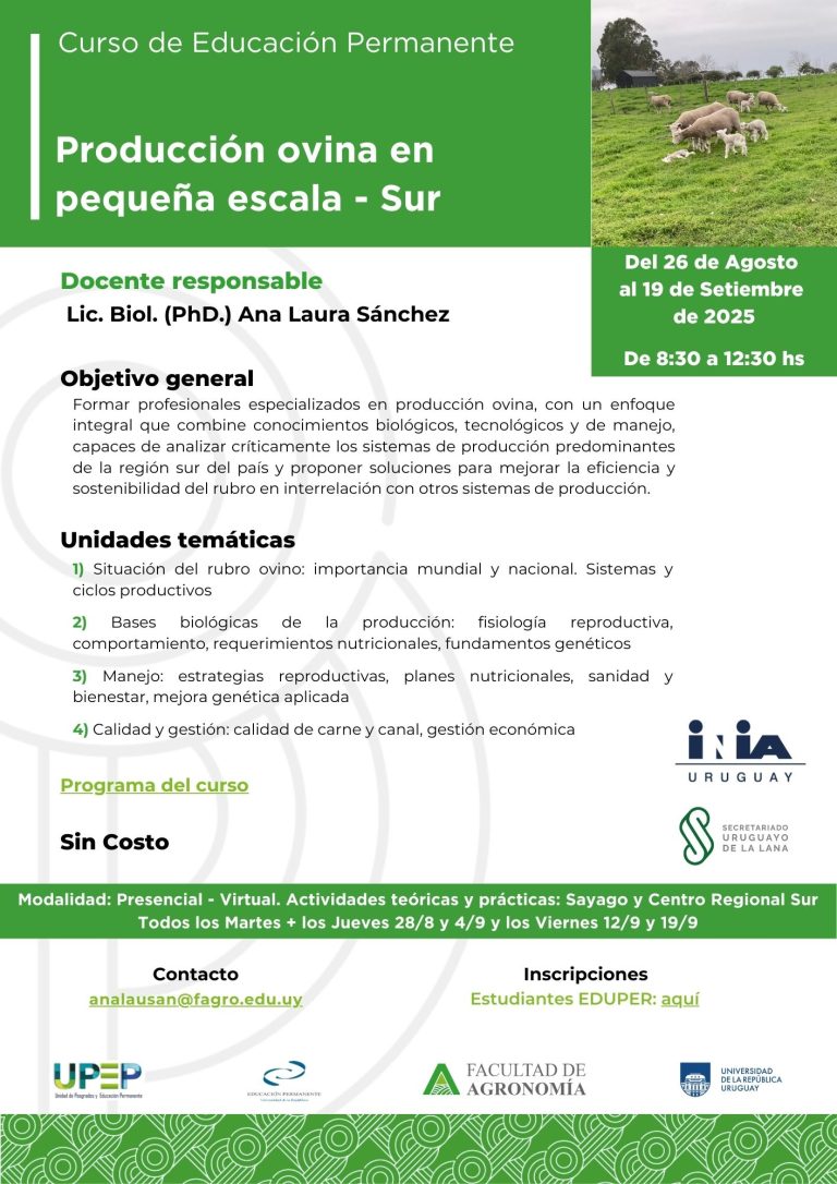 Producción ovina en pequeña escala - Sur