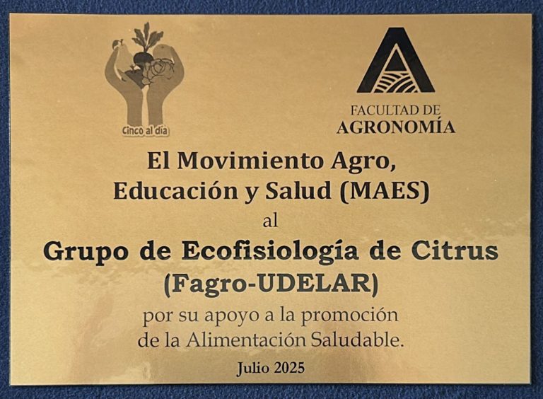 placa