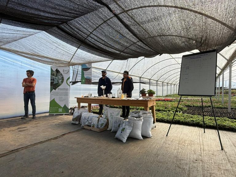 WhatsApp Image 2025-08-23 at 16.02.34 (1)