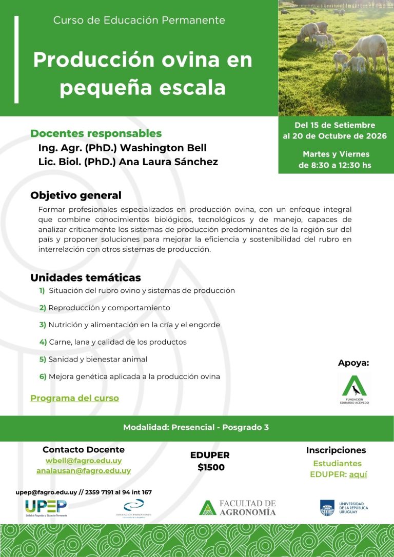 Producción ovina en pequeña escala - Sur